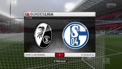 Prediksi Sepakbola: Freiburg vs Schalke 04 7
