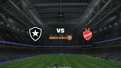 Live Streaming Botafogo vs Vila Nova-GO 22 Agustus 2021 6