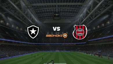 Live Streaming Botafogo vs Brasil de Pelotas 15 Agustus 2021 8